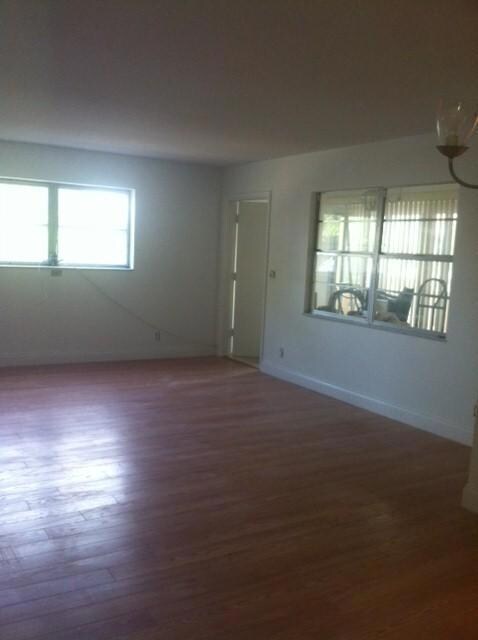 photo 3 (20)