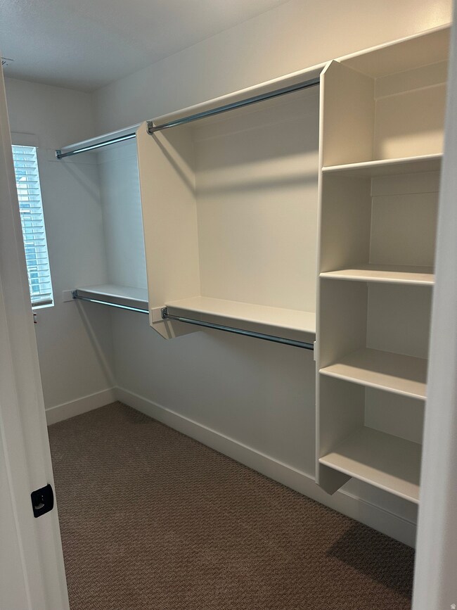 Spacious closet with dark carpet