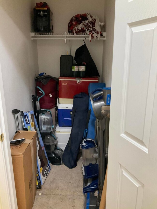 Large Hall Closet