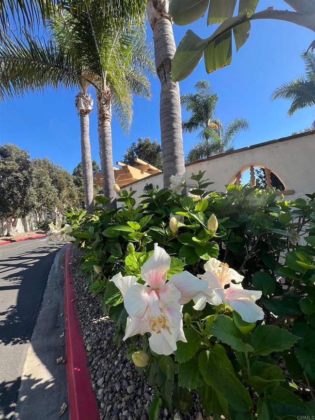 4241 Loma Riviera Ln, San Diego, CA 92110 - photo 2