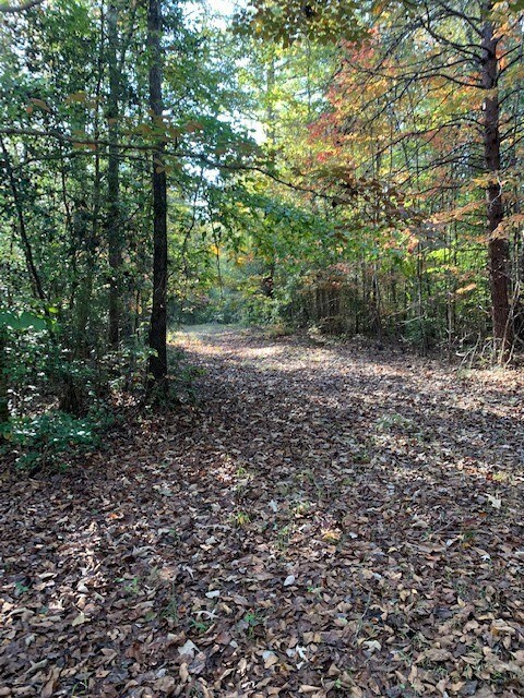 00 Scenic Heights Rd, West Union, SC 29696 - photo 6