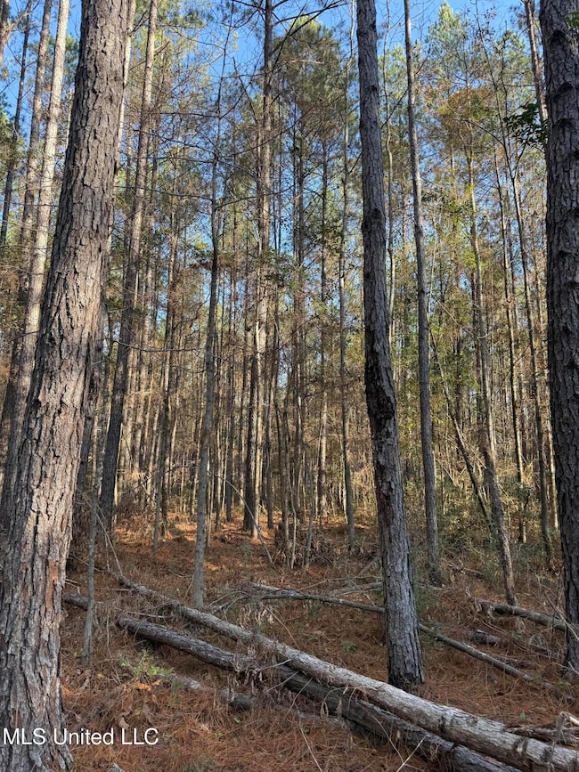 0 Corbit Blvd unit 4133748, McLain, MS 39456 - photo 3