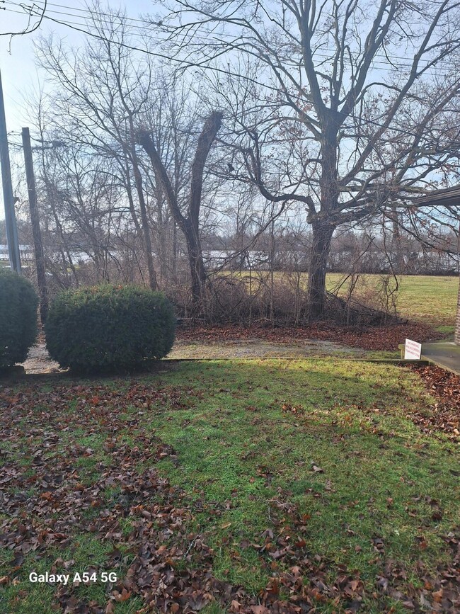 image(1)
