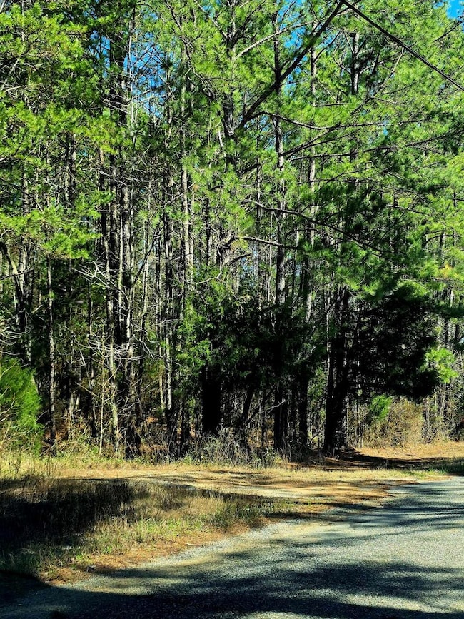 unlisted-address, Ozark, AL 36360 - photo 2