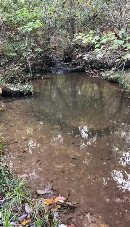 1912 Hightower Rd, Cedartown, GA 30125 - photo 4