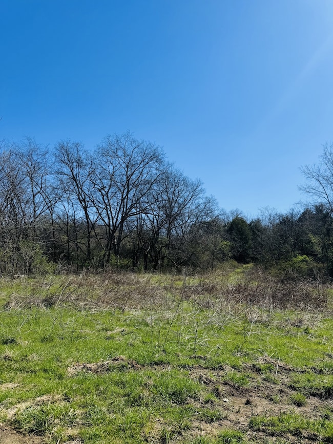 0 Crews Hollow Rd unit RTC2808625, Manchester, TN 37355 - photo 3