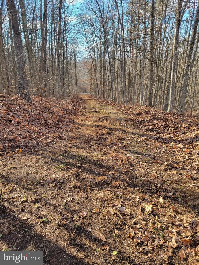 0 Coon Hollow Trail, Hedgesville, WV 25427 - photo 4