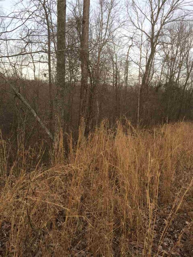 00 Hurricane Creek Rd, Linden, TN 37096 - photo 3