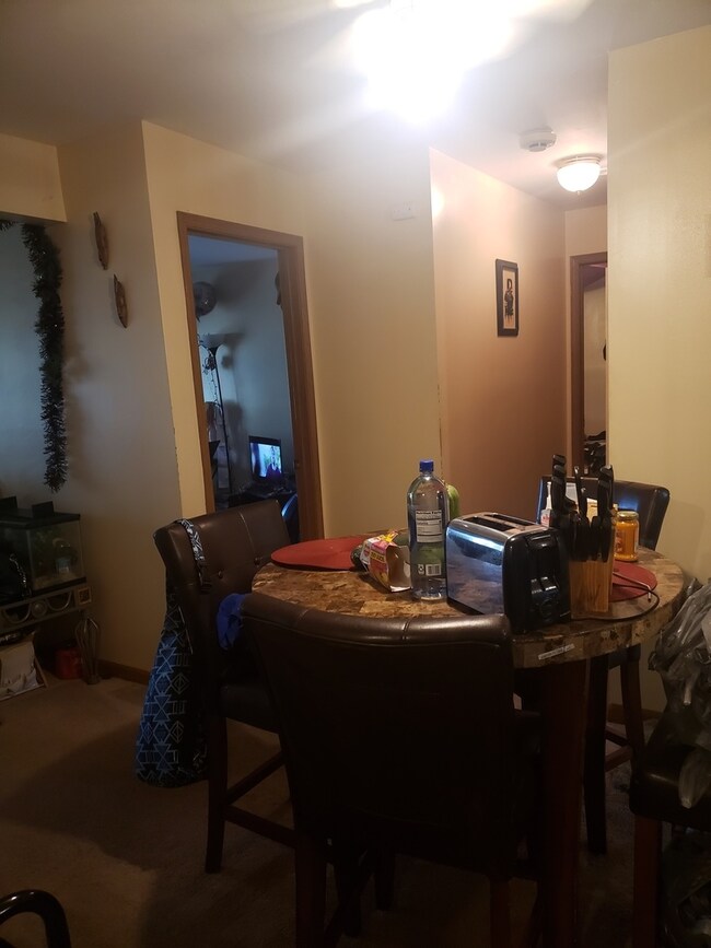 17951 Amherst Ct unit 203, Country Club Hills, IL 60478 - photo 6