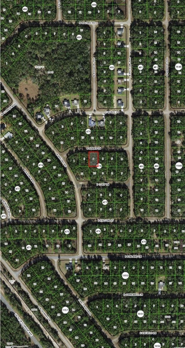 164 E Simms Ln, Citrus Springs, FL 34434 - photo 6