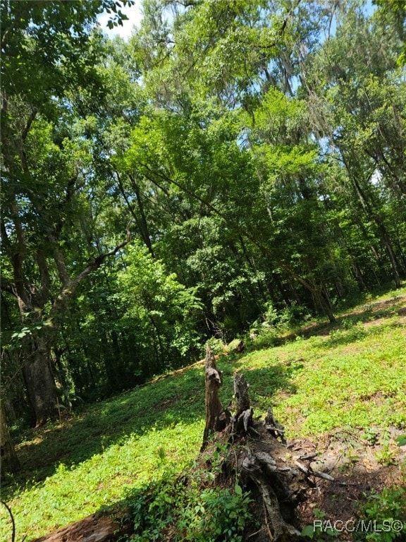 0 NW 83rd Court Rd unit 850146, Ocala, FL 34482 - photo 5