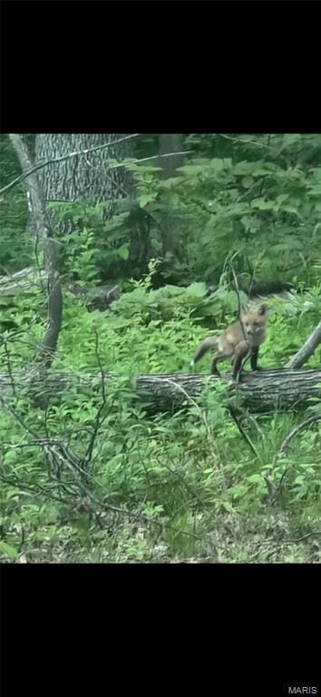 1855 Rock Springs Rd, Innsbrook, MO 63390 - photo 3