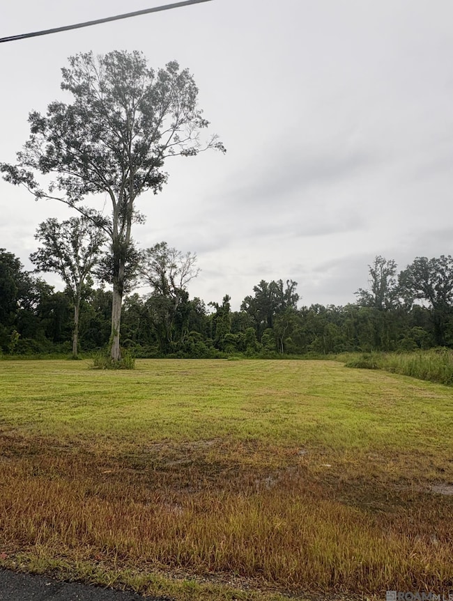 38354 N Robert Wilson Rd, Gonzales, LA 70737 - photo 4