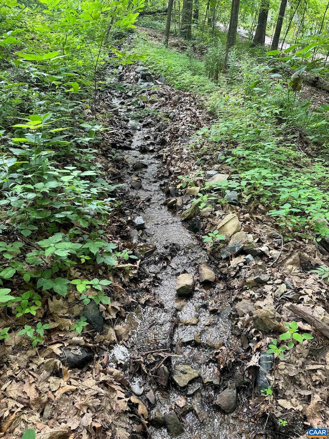 2070 Laurel Springs Dr, Wintergreen Resort, VA 22967 - photo 2