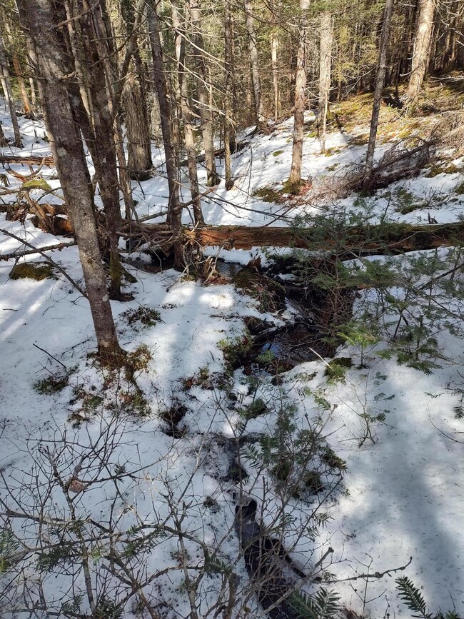 Tributary