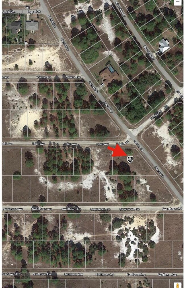 339 Tahiti Ave, Lake Placid, FL 33852 - photo 7