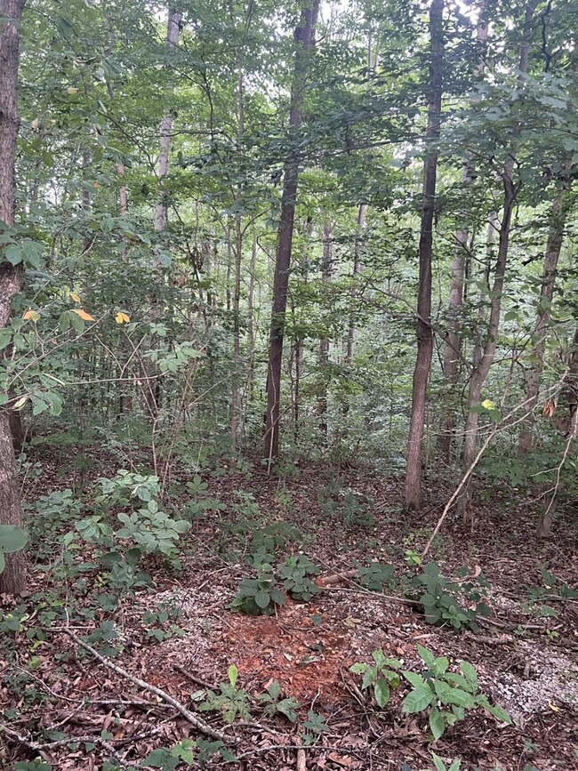 00 Audrey Ln, Byrdstown, TN 38549 - photo 5