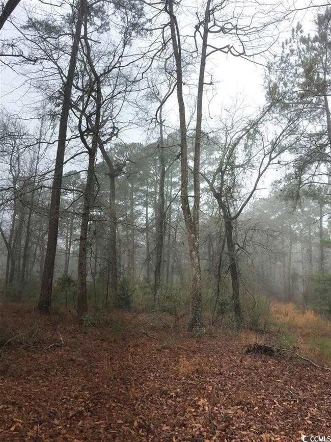 1028 Merritt Rd unit 1016 Merritt Road, Conway, SC 29526 - photo 4