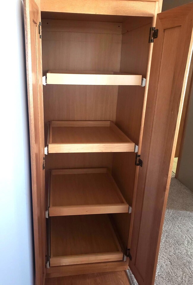 Pantry with Roll-outs