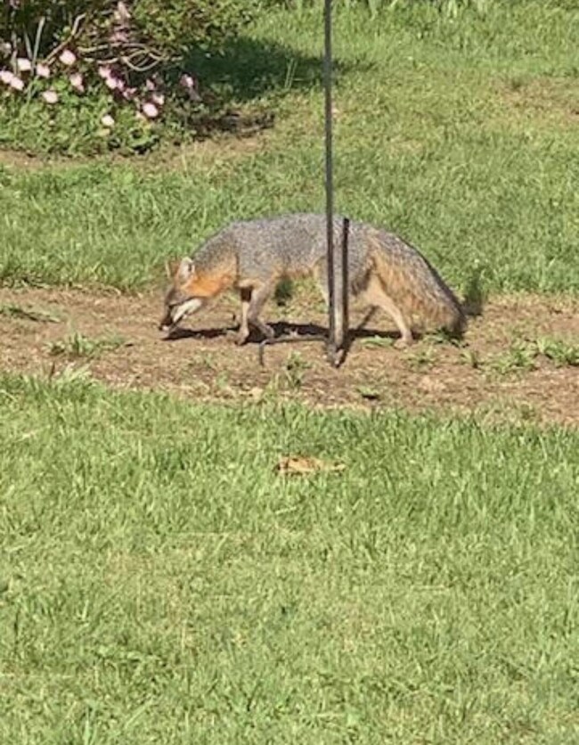 1518 Highway 1643, Somerset, KY 42501 - photo 7