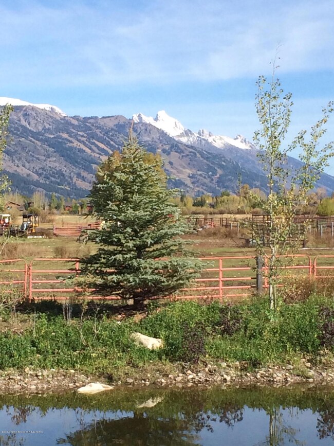 summer view