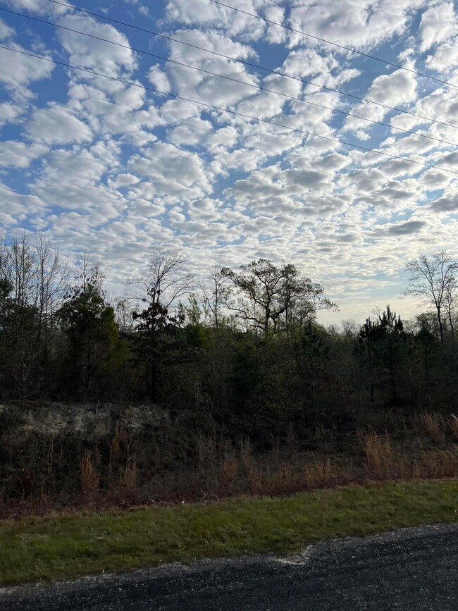 IMG-5611