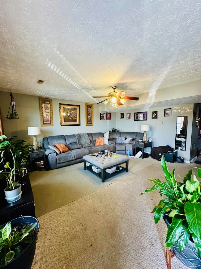 226 Hallie Irvine St, Richmond, KY 40475 - photo 2