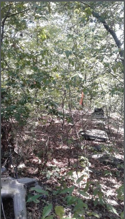 0 & 56 &60 Wauwinet, Worcester, MA 01605 - photo 6