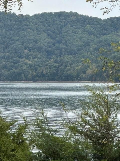 246 Boat Dock Rd, Mooresburg, TN 37811 - photo 3