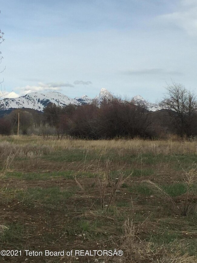Mountain View 5
