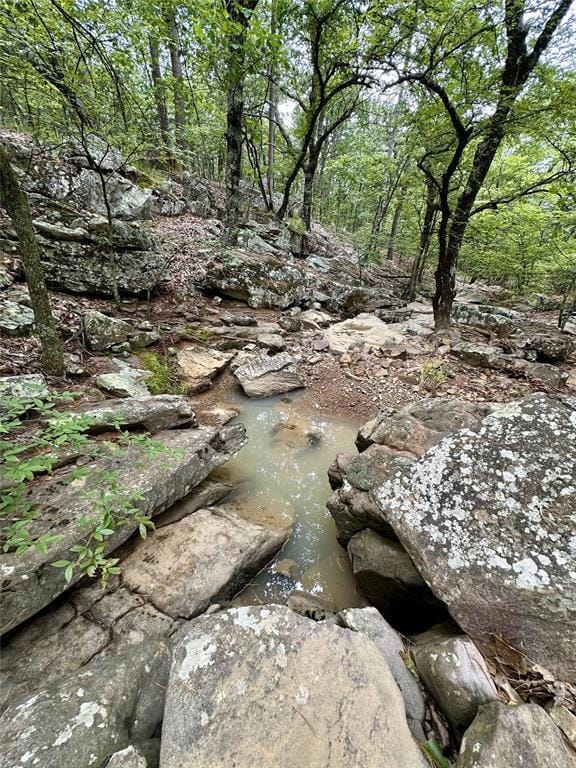View of local wilderness