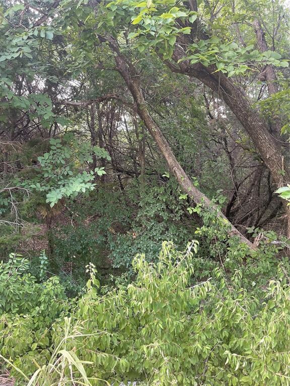 TBD Bronco Ln, Weatherford, TX 76087 - photo 2