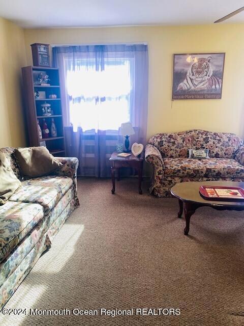 pic 4