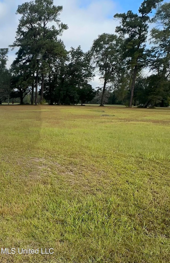 0 Albert Reeves Rd, Lucedale, MS 39452 - photo 2