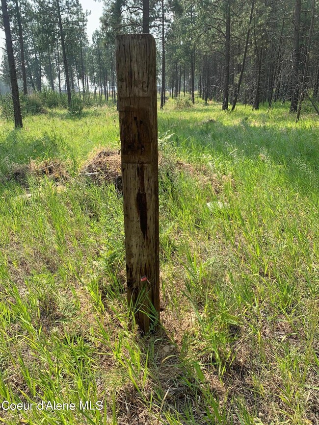 32606 N Sheep Springs Rd, Athol, ID 83801 - photo 6