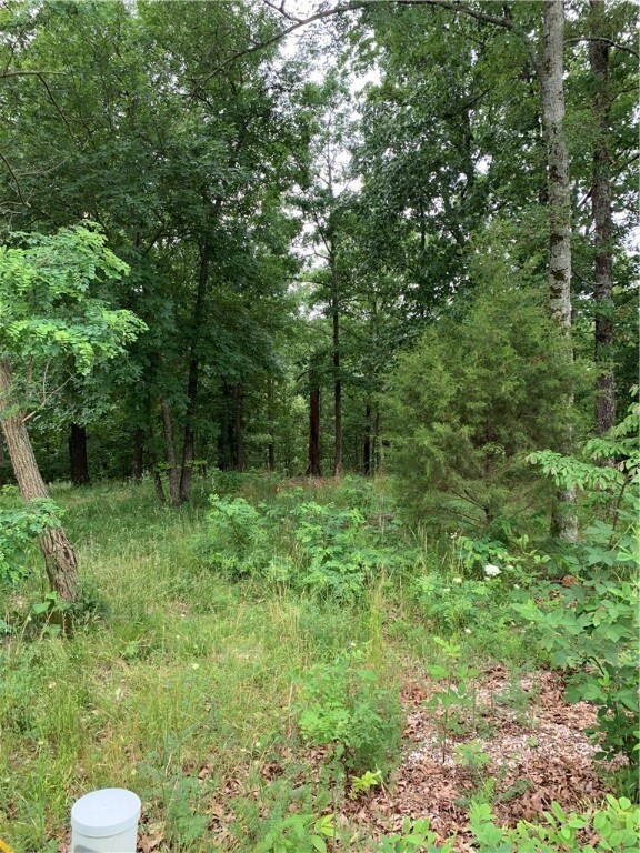 (Lot 3) Didcot Ln, Bella Vista, AR 72714 - photo 5