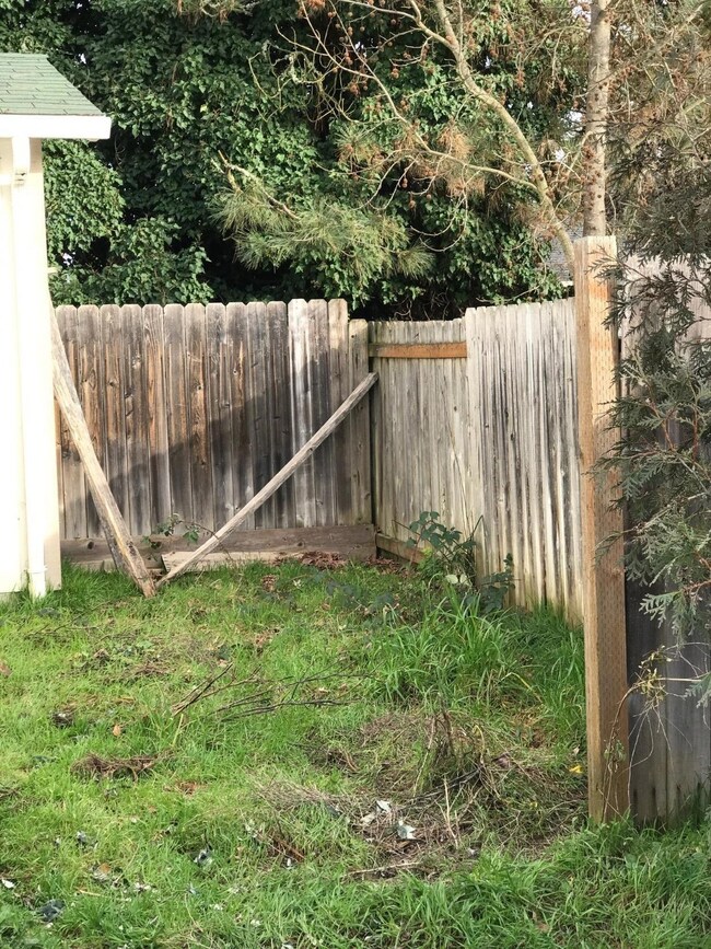 Additional Photo