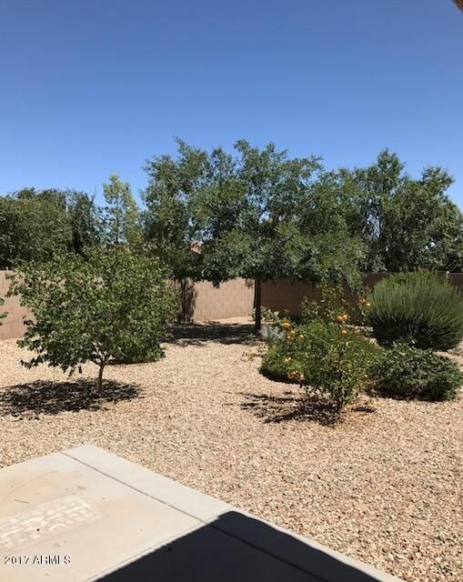 Pinnacle Vista Back