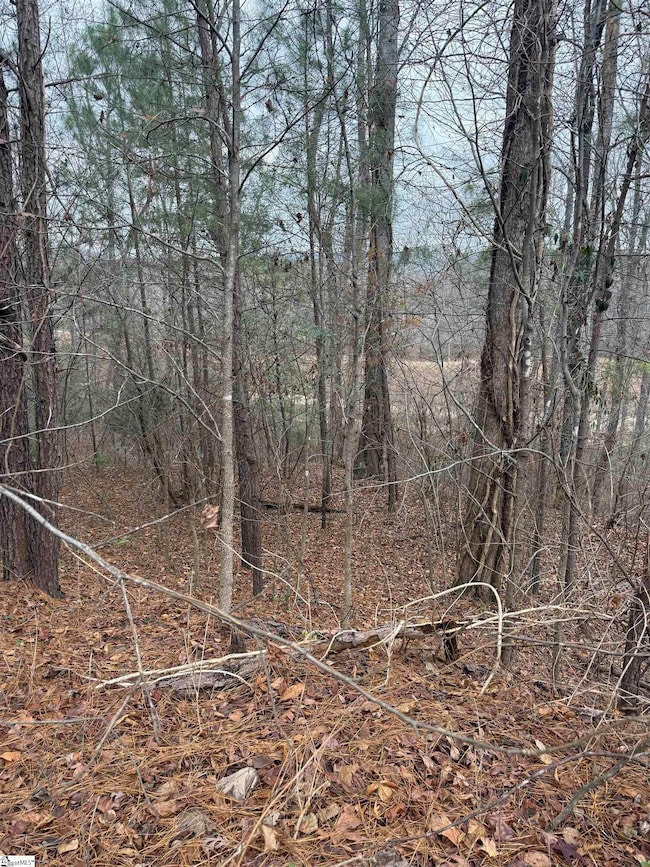 208 Wedge Way, Travelers Rest, SC 29690 - photo 5