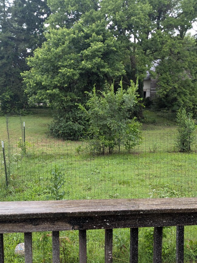 Yard
