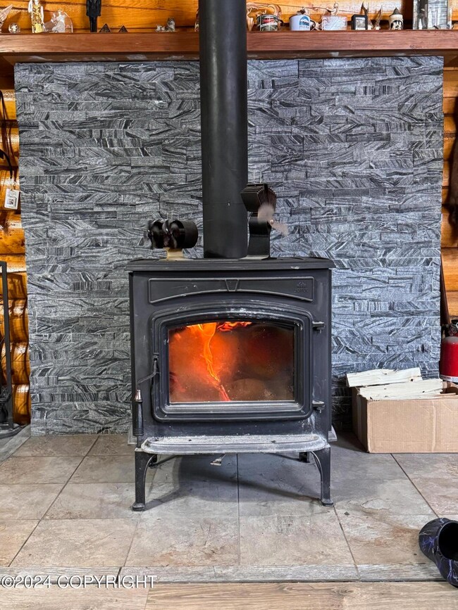 Mi 0.8 Nabesna Rd, Slana, AK 99586 - photo 5