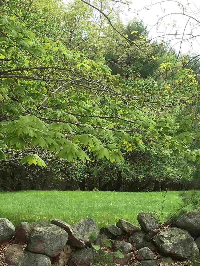 0 Cotton Mountain Rd unit Lot 2, Wolfeboro, NH 03894 - photo 4