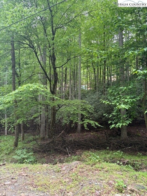 522 St Andrews Rd, Beech Mountain, NC 28604 - photo 4