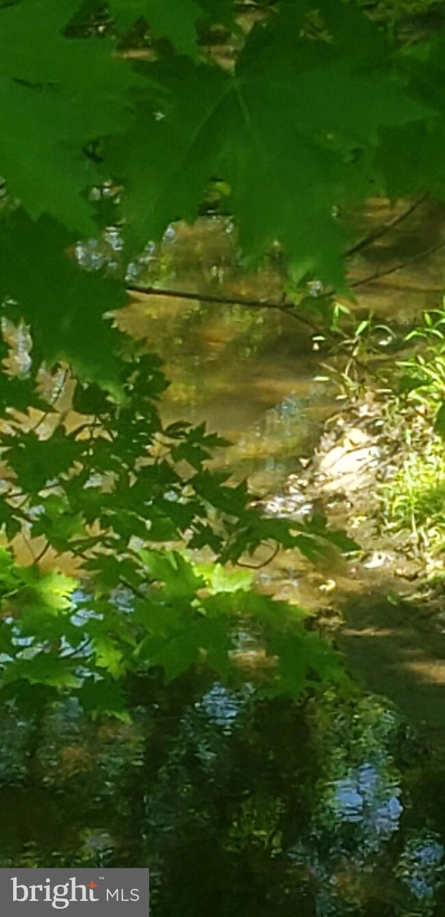 0 Homberg Ave, Essex, MD 21221 - photo 5