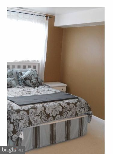 10725 West Dr unit 203, Fairfax, VA 22030 - photo 5