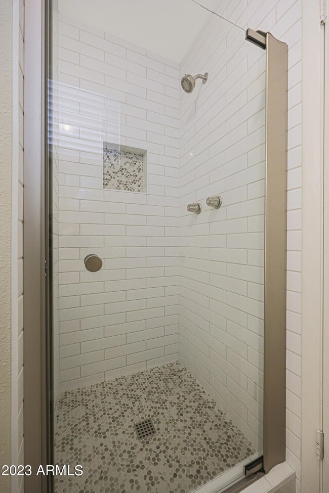 Primary Shower