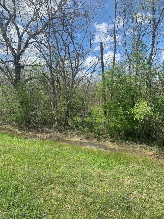 1671 County Road 310, Brazoria, TX 77422 - photo 4