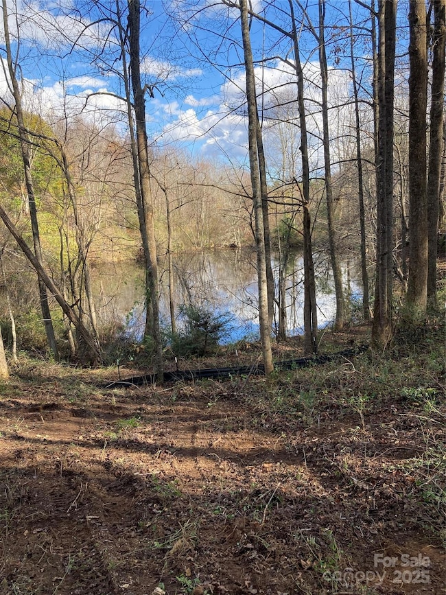 1638 Continental Divide Dr unit 2, Flat Rock, NC 28731 - photo 4