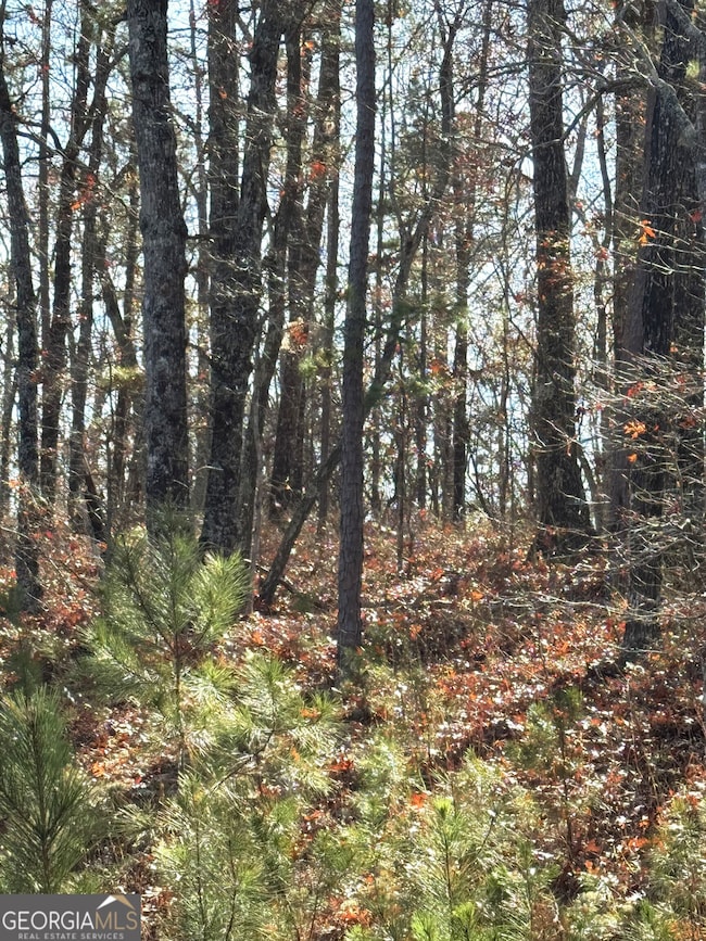 0 Arrowhead Dr unit 10651810, Delta, AL 36258 - photo 7