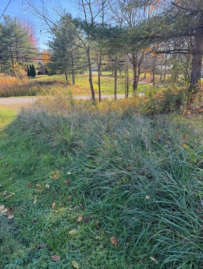 989 Howard Rd, Waverly, OH 45690 - photo 4